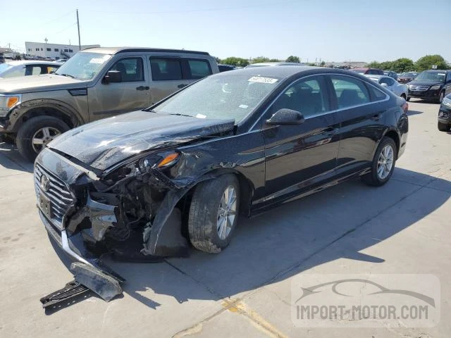 HYUNDAI SONATA 2019 5npe24af4kh776695