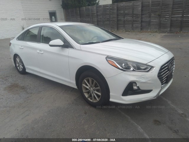 HYUNDAI SONATA 2019 5npe24af4kh777281