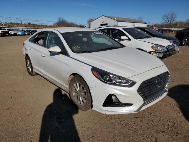 HYUNDAI SONATA SE 2019 5npe24af4kh777779