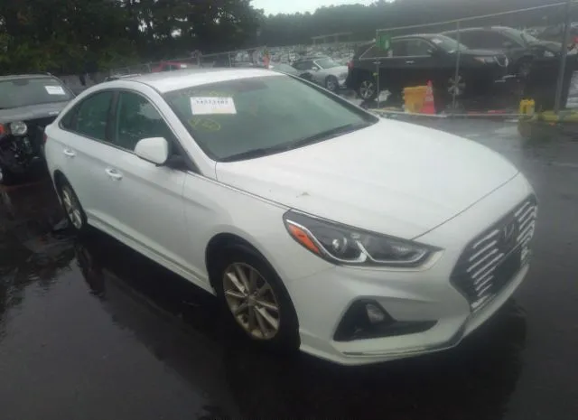 HYUNDAI SONATA 2019 5npe24af4kh778351