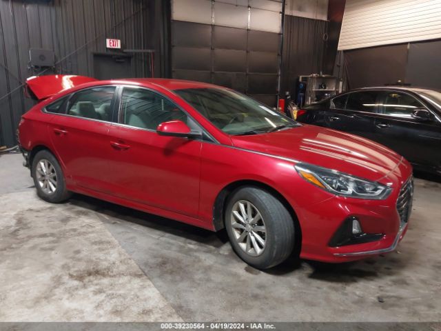 HYUNDAI SONATA 2019 5npe24af4kh778415