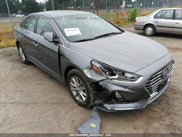 HYUNDAI SONATA 2019 5npe24af4kh787521