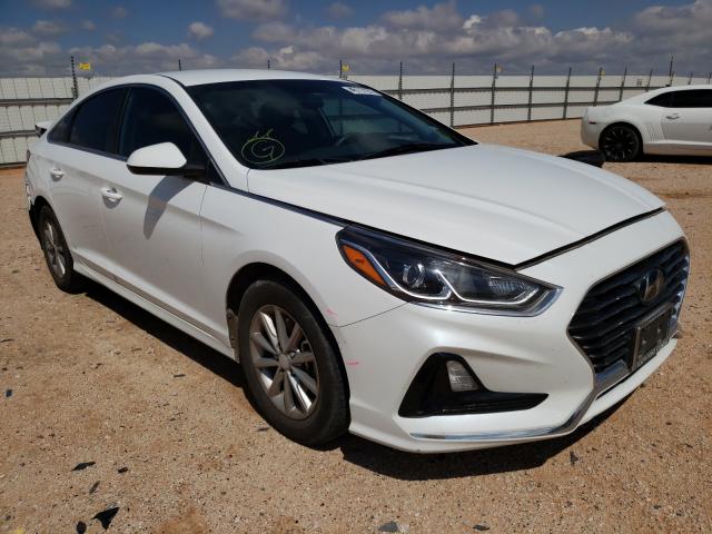 HYUNDAI SONATA SE 2019 5npe24af4kh787731