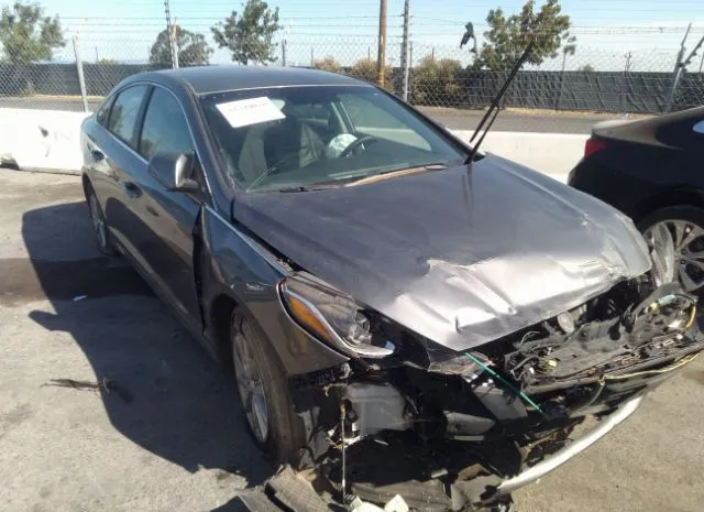 HYUNDAI SONATA 2019 5npe24af4kh791357