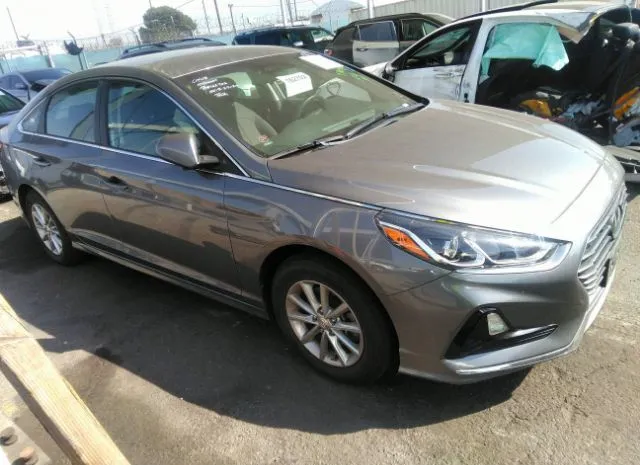 HYUNDAI SONATA 2019 5npe24af4kh791620