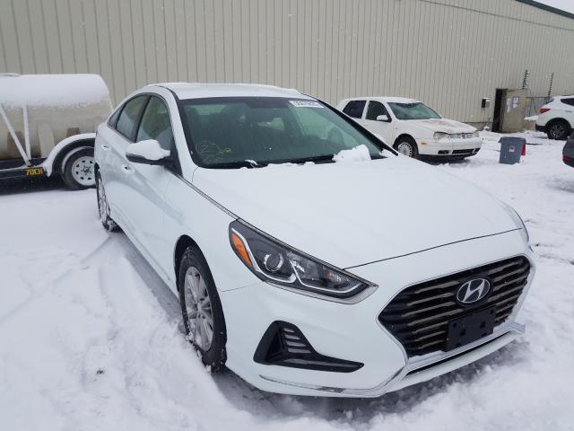 HYUNDAI SONATA SE 2019 5npe24af4kh793819