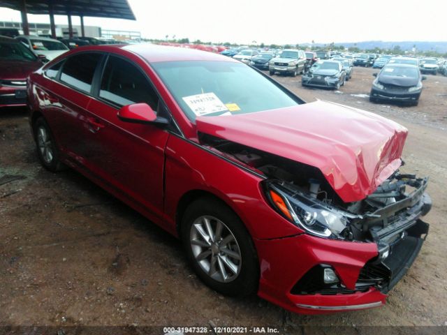 HYUNDAI SONATA 2019 5npe24af4kh802437