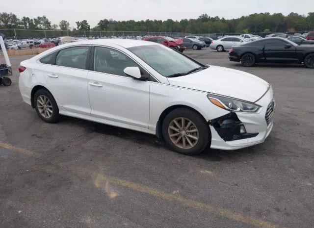 HYUNDAI SONATA 2019 5npe24af4kh802938