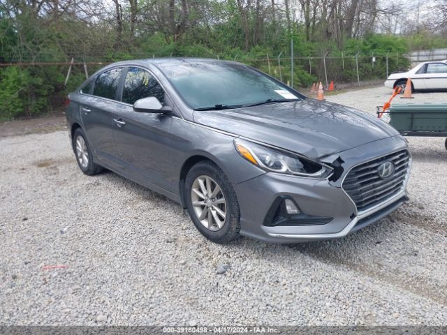 HYUNDAI SONATA 2019 5npe24af4kh803460