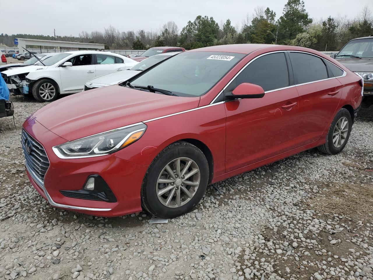 HYUNDAI SONATA 2019 5npe24af4kh804401