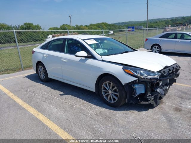 HYUNDAI SONATA 2019 5npe24af4kh804494