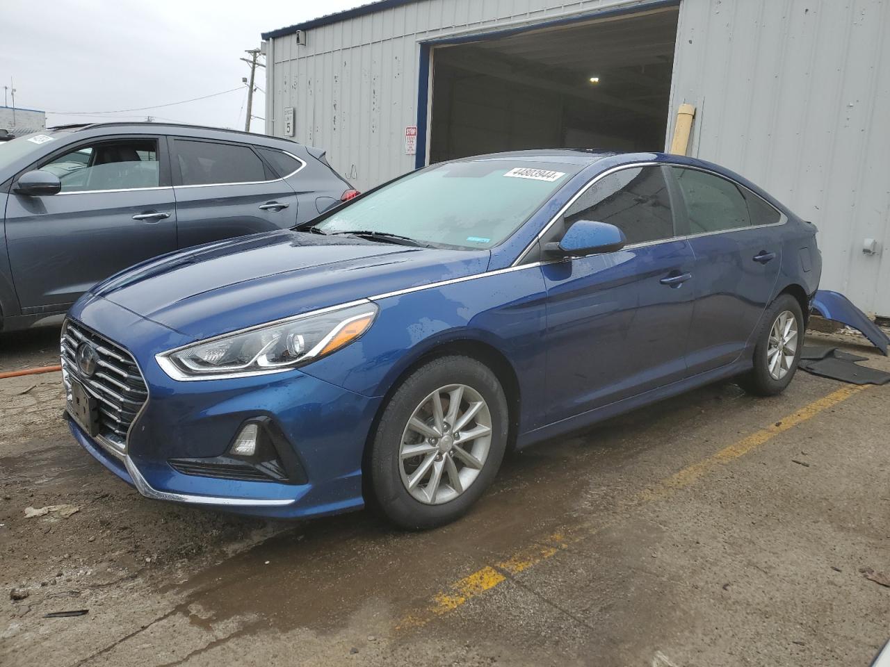 HYUNDAI SONATA 2019 5npe24af4kh809789