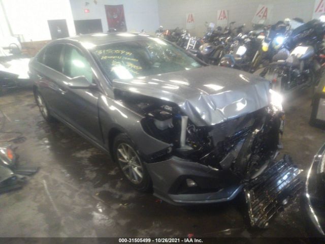 HYUNDAI SONATA 2019 5npe24af4kh812188