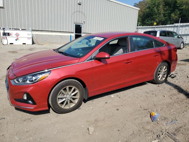 HYUNDAI SONATA 2019 5npe24af4kh812563