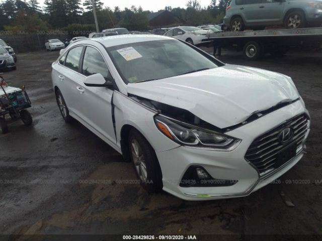 HYUNDAI SONATA 2019 5npe24af4kh813051