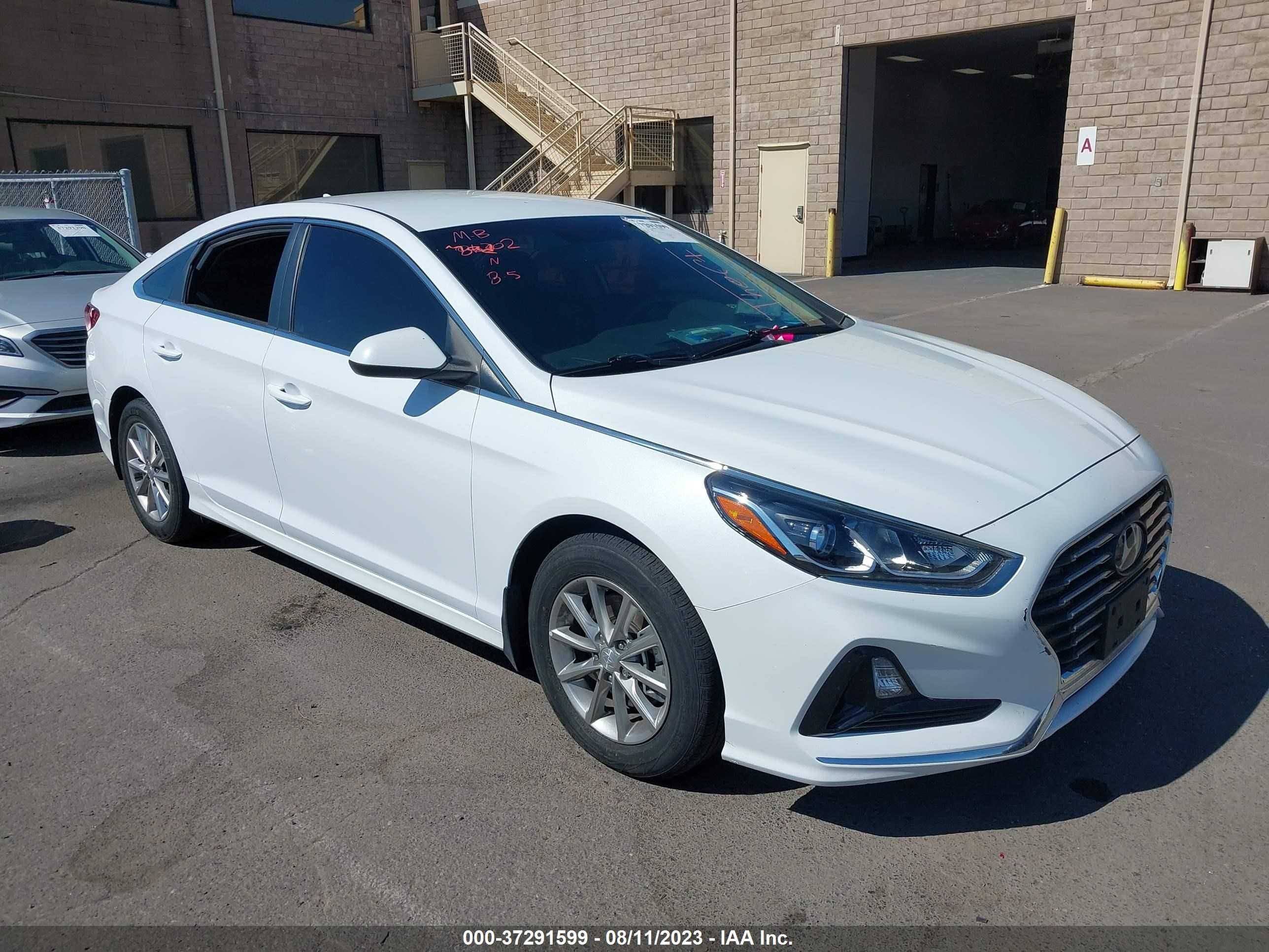 HYUNDAI SONATA 2019 5npe24af4kh813955