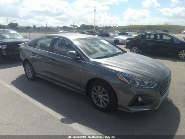 HYUNDAI SONATA 2019 5npe24af4kh820002