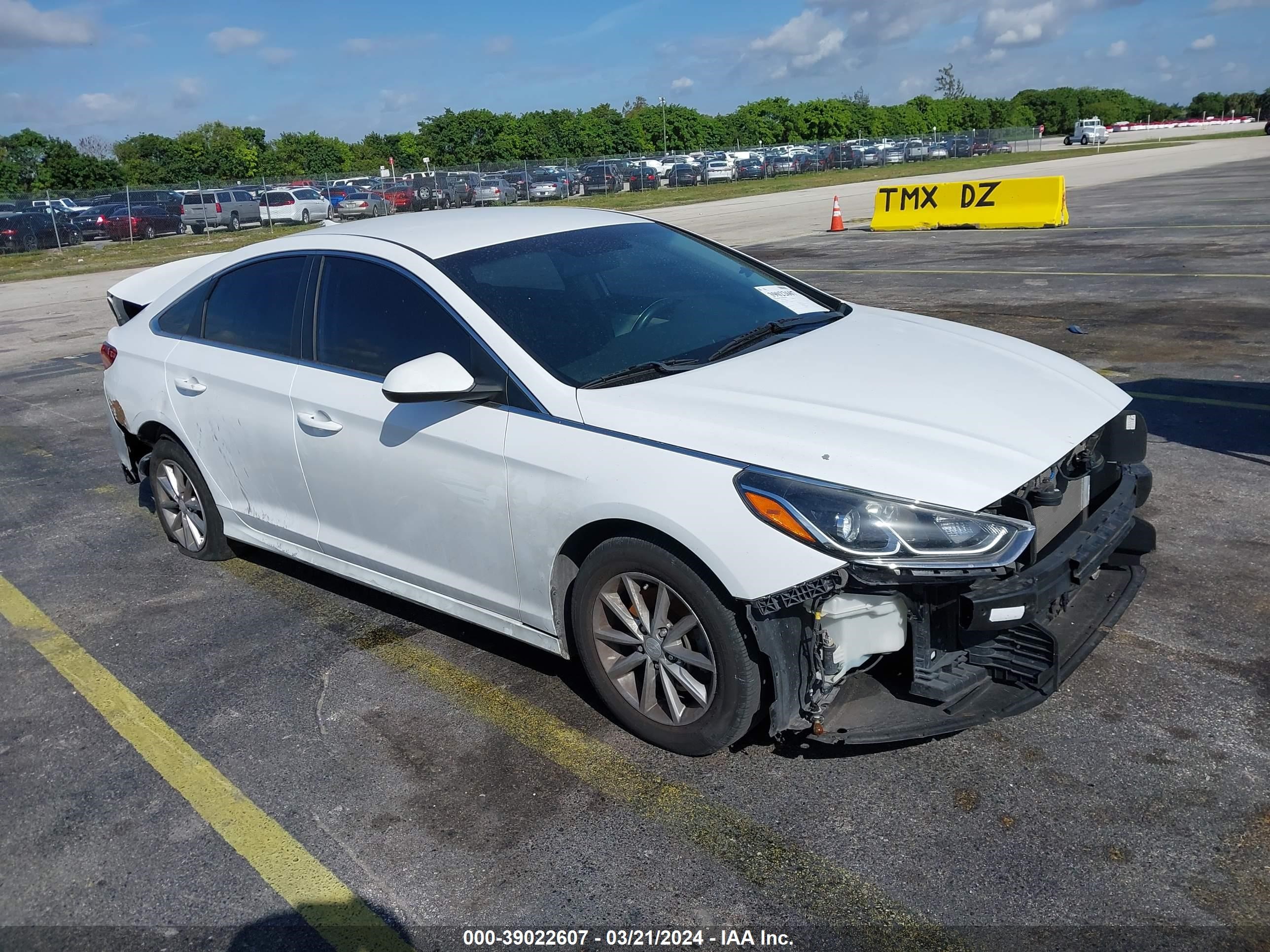 HYUNDAI SONATA 2019 5npe24af4kh820260