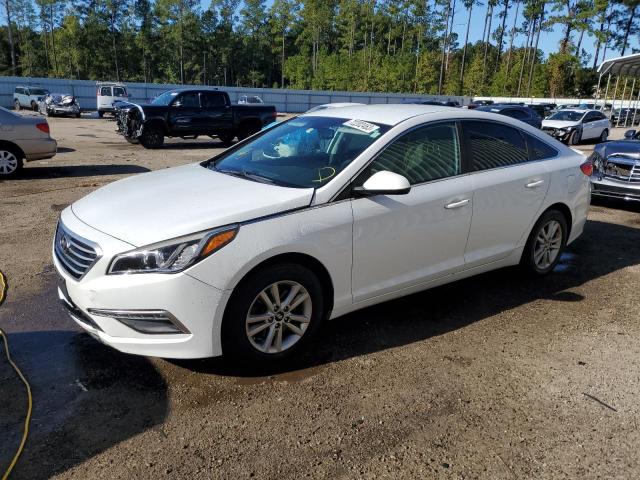 HYUNDAI SONATA 2015 5npe24af5fh002543