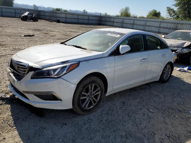 HYUNDAI SONATA 2015 5npe24af5fh006396