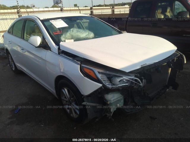 HYUNDAI SONATA 2015 5npe24af5fh008018