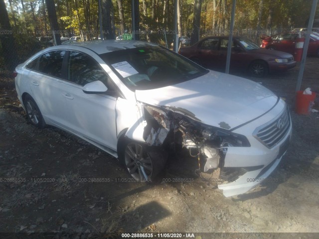 HYUNDAI SONATA 2015 5npe24af5fh008391