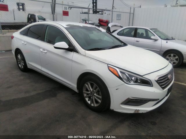 HYUNDAI SONATA 2015 5npe24af5fh019066