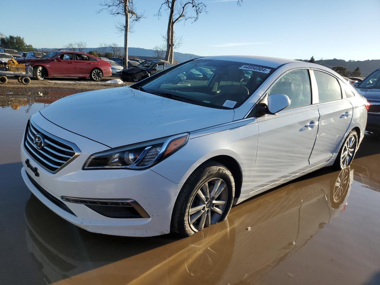 HYUNDAI SONATA 2015 5npe24af5fh035378