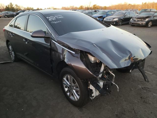 HYUNDAI SONATA SE 2015 5npe24af5fh079039