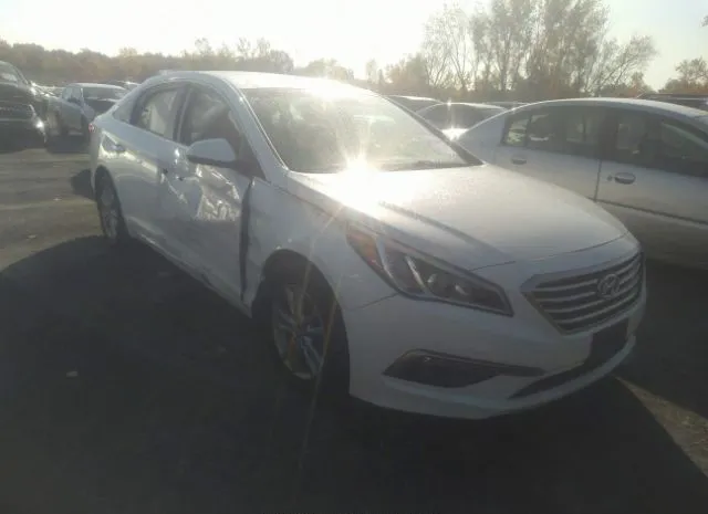 HYUNDAI SONATA 2015 5npe24af5fh083771