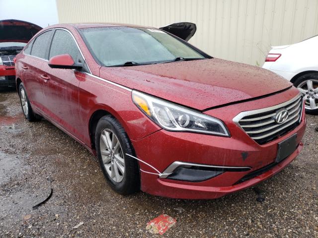 HYUNDAI SONATA SE 2015 5npe24af5fh095628