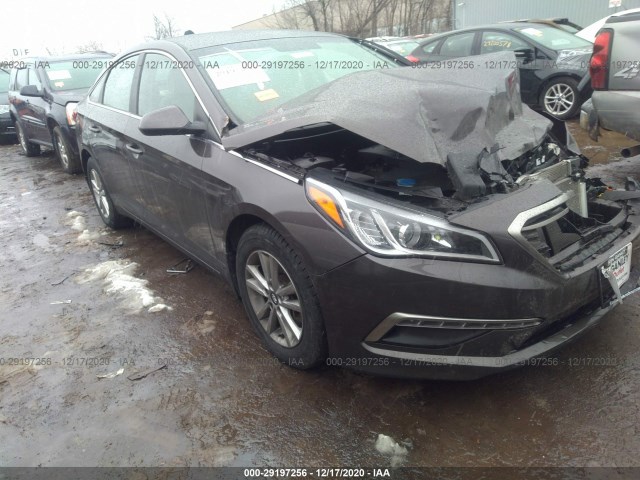 HYUNDAI SONATA 2015 5npe24af5fh097380