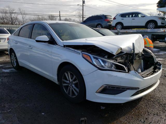 HYUNDAI SONATA SE 2015 5npe24af5fh099873