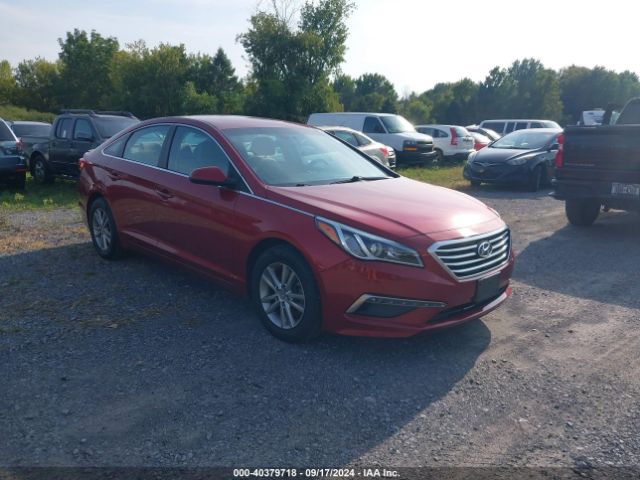 HYUNDAI SONATA 2015 5npe24af5fh123654