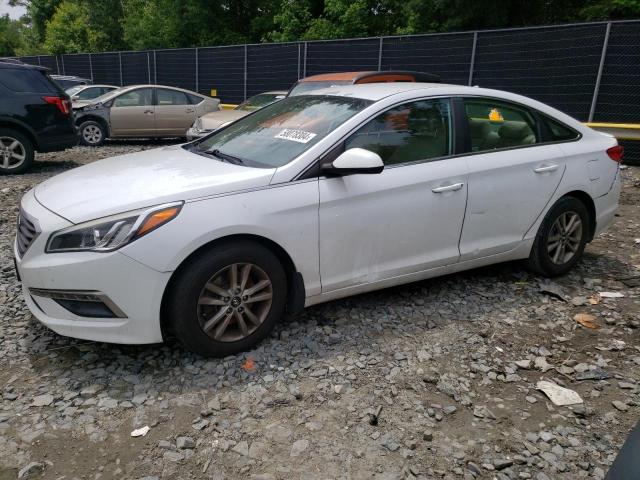 HYUNDAI SONATA 2015 5npe24af5fh149803