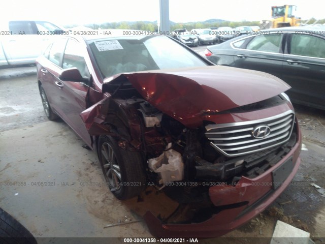 HYUNDAI SONATA 2015 5npe24af5fh152023