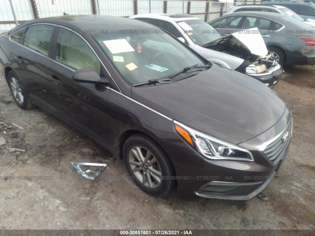 HYUNDAI SONATA 2015 5npe24af5fh152524