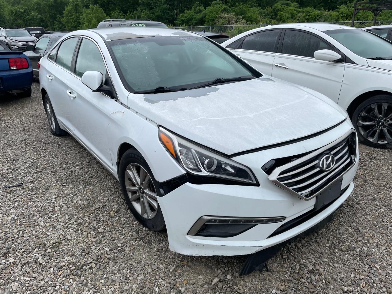 HYUNDAI SONATA 2015 5npe24af5fh157318