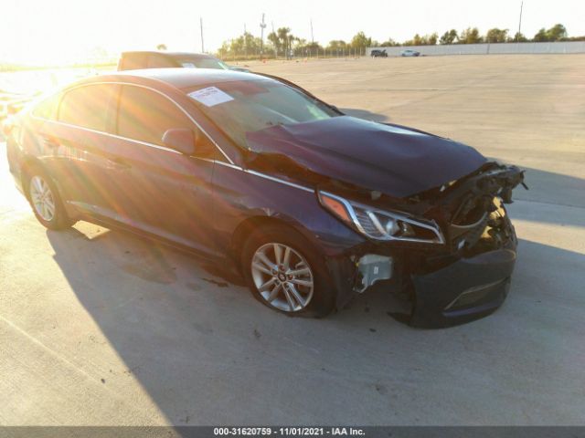 HYUNDAI SONATA 2015 5npe24af5fh184695