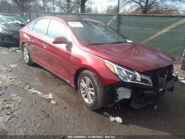 HYUNDAI SONATA 2015 5npe24af5fh196040