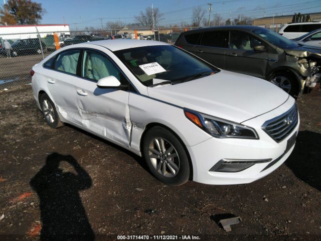 HYUNDAI SONATA 2015 5npe24af5fh208302