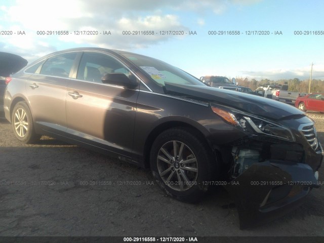 HYUNDAI SONATA 2015 5npe24af5fh208431