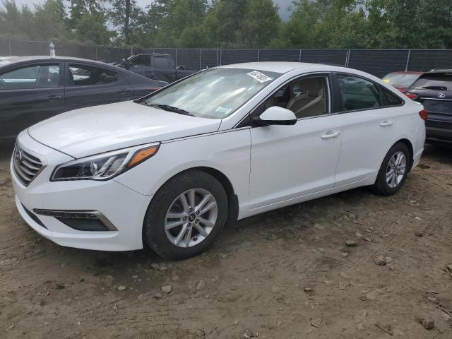 HYUNDAI SONATA SE 2015 5npe24af5fh209546