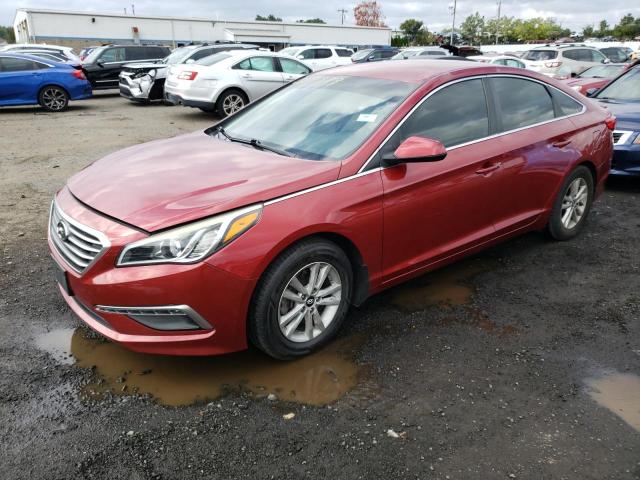 HYUNDAI SONATA 2015 5npe24af5fh216450