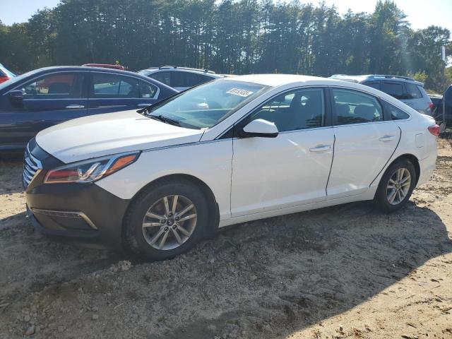 HYUNDAI SONATA 2015 5npe24af5fh224175