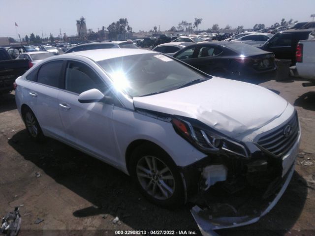 HYUNDAI SONATA 2015 5npe24af5fh224290