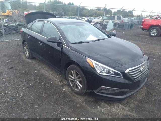 HYUNDAI SONATA 2015 5npe24af5fh230462