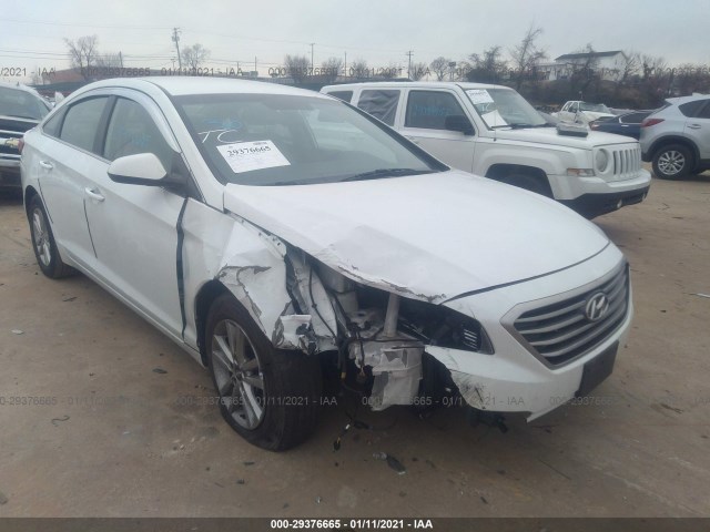 HYUNDAI SONATA 2015 5npe24af5fh248637