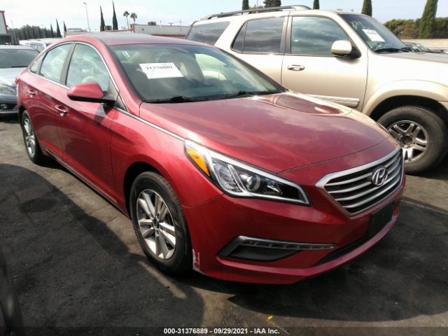 HYUNDAI SONATA 2015 5npe24af5fh254812