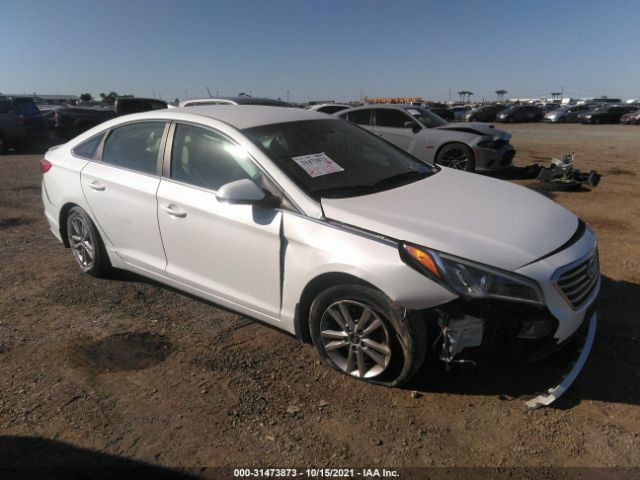 HYUNDAI SONATA 2015 5npe24af5fh255006